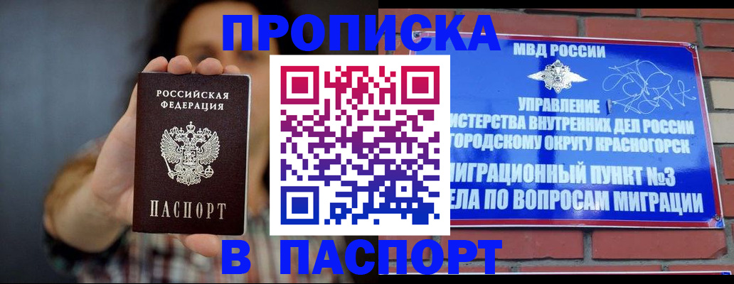 прописка в квартире в Балашихе